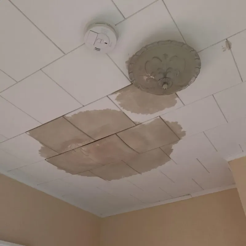 Ceiling Water Damage Repair in Waurika, OK