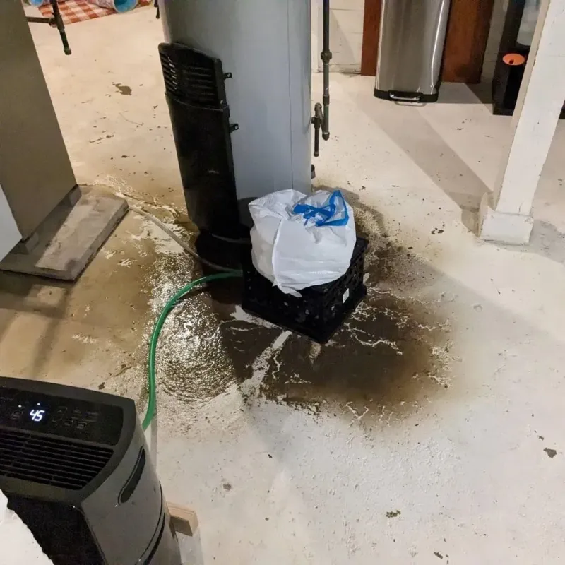 Sewage Backup Cleanup Service in Waurika, OK